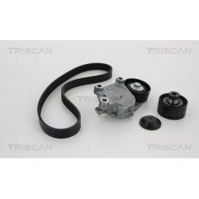 Achetez des Jeu de courroies trapézoïdales à nervures TRISCAN 8642 10003 à prix pour 127,08 €