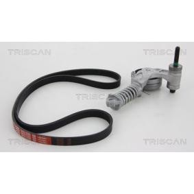 Achetez des Jeu de courroies trapézoïdales à nervures TRISCAN 8642 10008 à prix pour 111,27 €