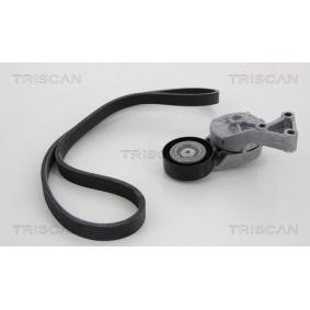 Achetez des Jeu de courroies trapézoïdales à nervures TRISCAN 8642 10011 à prix pour 110,45 €