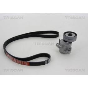 Achetez des Jeu de courroies trapézoïdales à nervures TRISCAN 8642 24002 à prix pour 92,98 €
