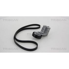 Achetez des Jeu de courroies trapézoïdales à nervures TRISCAN 8642 24003 à prix pour 107,53 €