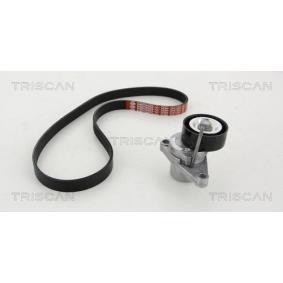Achetez des Kit de courroie d'accessoire de chez TRISCAN en ligne pour C3 Aircross I à prix modérés