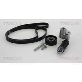 Achetez des Jeu de courroies trapézoïdales à nervures TRISCAN 8642 28007 à prix pour 269,21 €
