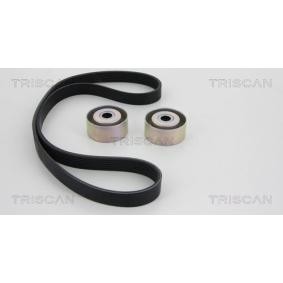 Achetez des Jeu de courroies trapézoïdales à nervures TRISCAN 8642 28008 à prix pour 137,88 €