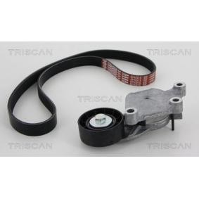 Achetez des Jeu de courroies trapézoïdales à nervures TRISCAN 8642 28012 à prix pour 144,34 €