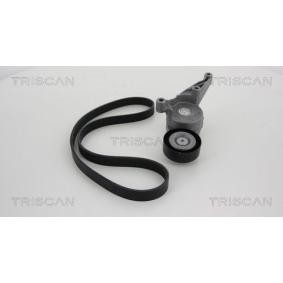 Achetez des Jeu de courroies trapézoïdales à nervures TRISCAN 8642 29001 à prix pour 96,51 €
