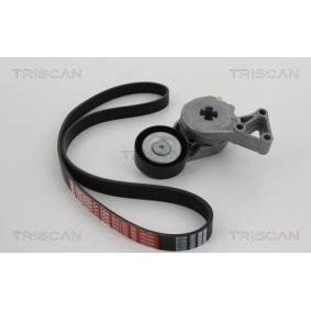 Achetez des Jeu de courroies trapézoïdales à nervures TRISCAN 8642 29003 à prix pour 98,96 €