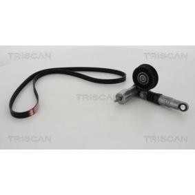Acquista Kit Cinghie Poly-V da TRISCAN 8642 29006 a buon mercato per soli 174,75 €