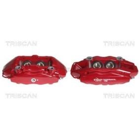Spannrolle, Zahnriemen 8646 10125