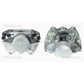 Achetez des Poulie renvoi / transmission, courroie de distribution TRISCAN 8646 42202 à prix pour 32,31 €