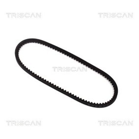 Achetez des Kit de distribution TRISCAN 8647 42012 à prix pour 84,94 €