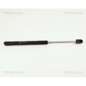 Achetez des Vérin de coffre TRISCAN 8710 16225 à prix pour 16,35 €