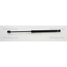 Heckklappendämpfer 8710 292104 von TRISCAN günstig für 22,87 € online kaufen