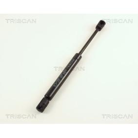 Heckklappendämpfer 8710 29231 von TRISCAN günstig für 14,85 € online kaufen