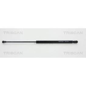 Heckklappendämpfer 8710 29242 von TRISCAN günstig für 20,56 € online kaufen