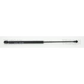 Heckklappendämpfer 8710 29250 von TRISCAN günstig für 34,85 € online kaufen