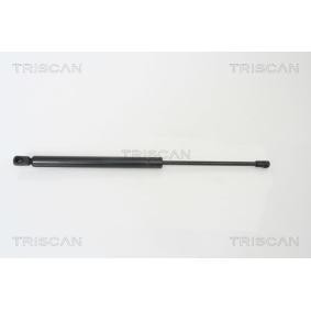 Heckklappendämpfer 8710 29253 von TRISCAN günstig für 34,08 € online kaufen