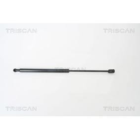Heckklappendämpfer 8710 29268 von TRISCAN günstig für 22,48 € online kaufen