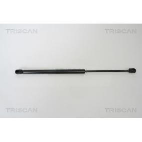 Heckklappendämpfer 8710 29272 von TRISCAN günstig für 15,33 € online kaufen