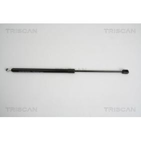 Heckklappendämpfer 8710 29278 von TRISCAN günstig für 35,52 € online kaufen