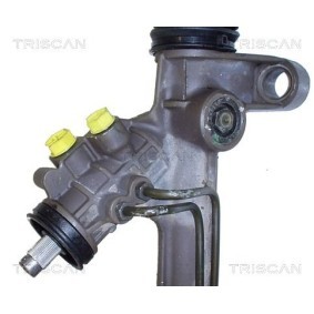 Köp Gasfjäder till baklucka av TRISCAN 8710 42206 till det låga priset 301,67 kr