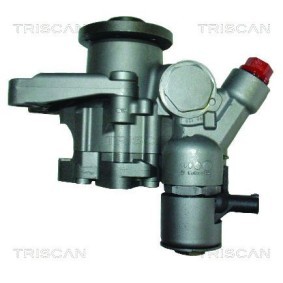 Achetez des Vérin de coffre TRISCAN 8710 67207 à prix pour 20,96 €