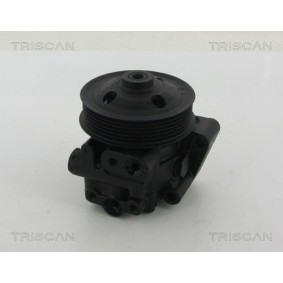 Achetez des Vérin de coffre TRISCAN 8710 80290 à prix pour 617,68 €
