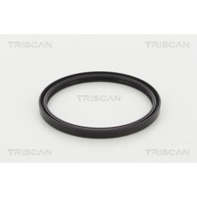 Köp Spiralfjäder av TRISCAN 8750 1017 till det låga priset 732,51 kr