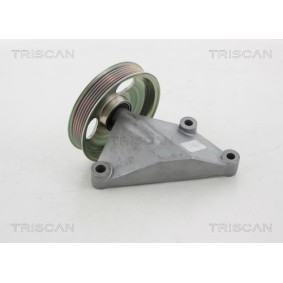Fahrwerksfeder von TRISCAN 8750 4101