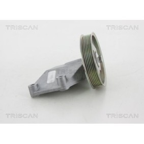 Fahrwerksfeder von TRISCAN 8750 4103