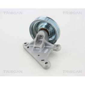 Fahrwerksfeder von TRISCAN 8750 4106