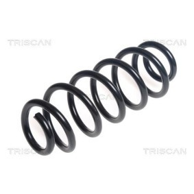 Köp Spiralfjäder av TRISCAN 8750 5029 till det låga priset 566,18 kr