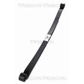 Federpaket von TRISCAN