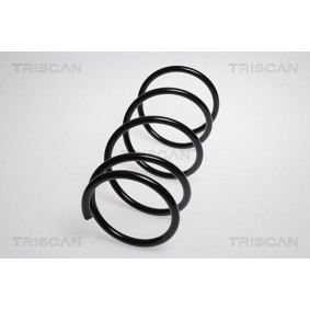 Federpaket von TRISCAN
