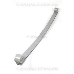Federpaket von TRISCAN