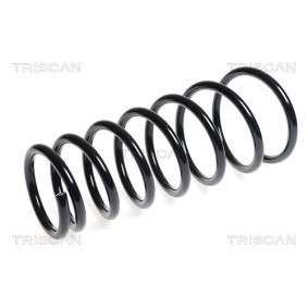 Federpaket von TRISCAN 8765 24004