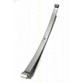Fahrwerksfeder 8765 29011