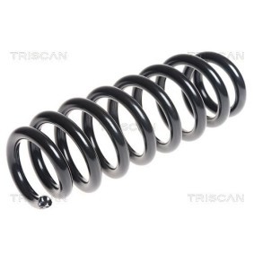 Federpaket von TRISCAN