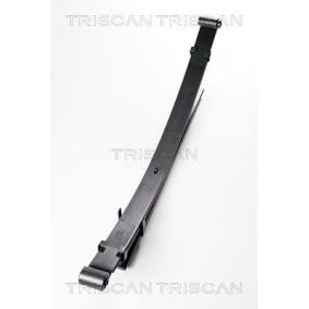 Federpaket von TRISCAN