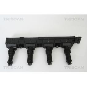 Zündspule von TRISCAN