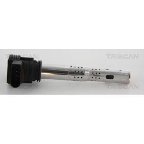 Zündspule von TRISCAN