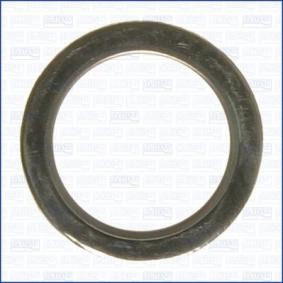 Dichtung, Abgasrohr 00293700