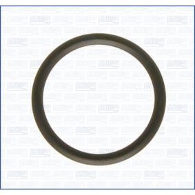 Dichtung, Thermostat 00538000