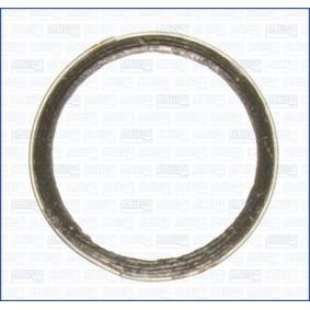 Dichtring, Abgasrohr 19003500
