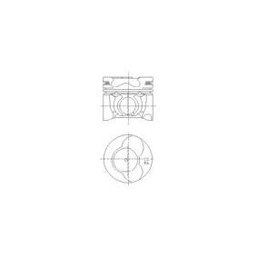 Achetez des Piston IPSA PI000502 à prix pour 73,10 €
