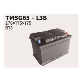 Achetez des Batterie IPSA TMSG65 à prix pour 112,95 €