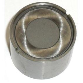 Hydrostößel PI 03-101