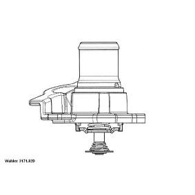 Achetez des Thermostat d'eau WAHLER 3171.82D à prix pour 58,49 €