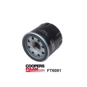 Osta Öljynsuodatin COOPERSFIAAM FILTERS:llä FT6081 edullisesti hintaan 25,61 €
