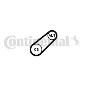 Compre Correia trapezoidal estriada da CONTITECH 6PK799 ELAST a um preço baixo por 16,01 €